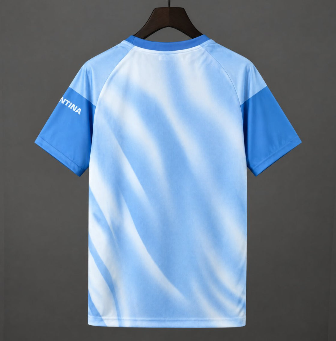 Maillot Argentine Avant Match Bleu Clair Hommage À Messi 2025-2026