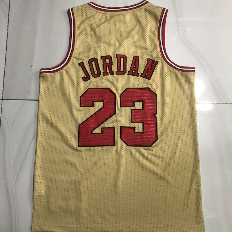 Maillot Chicago Bulls Michael Jordan 1995-1996