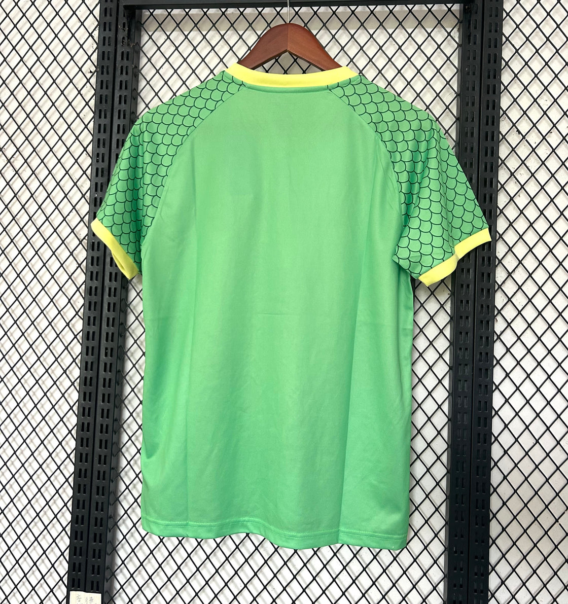 Maillot Japon Édition Spéciale 2024-2025