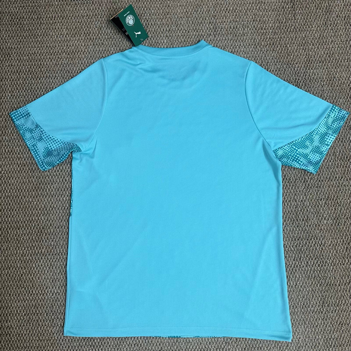 Maillot Palmeiras Entraînement 2026-2027