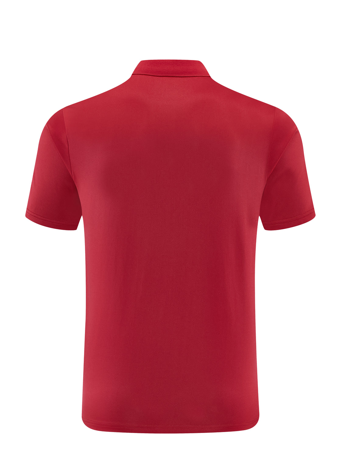 Polo NK 22