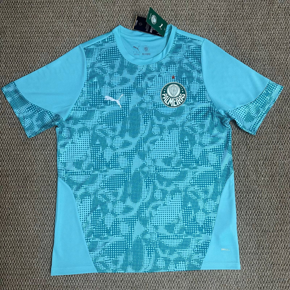 Maillot Palmeiras Entraînement 2026-2027