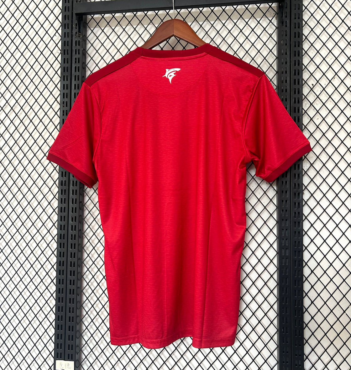 Maillot Cap-Vert Extérieur 2023-2024