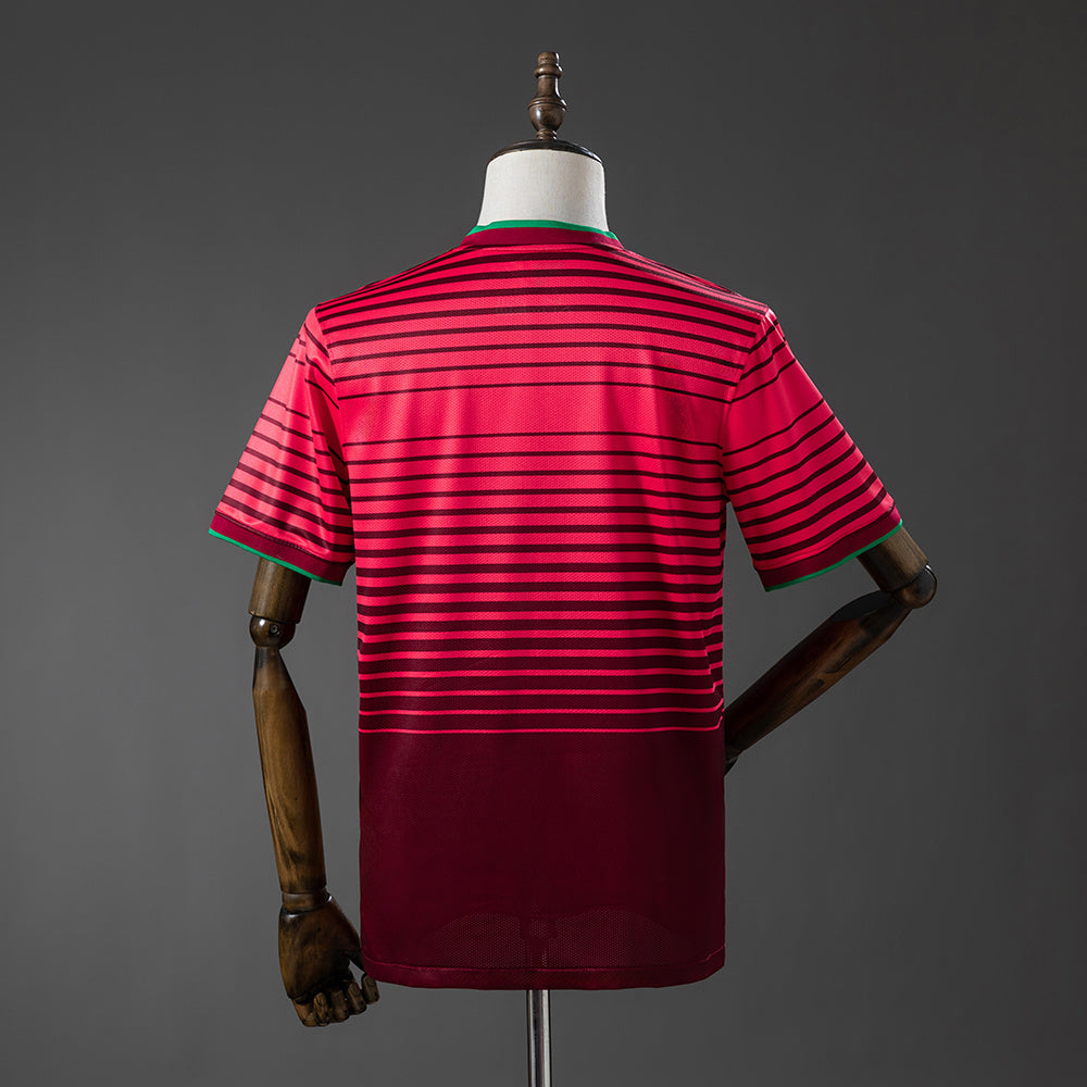 Maillot Rétro Portugal Domicile 2014-2015