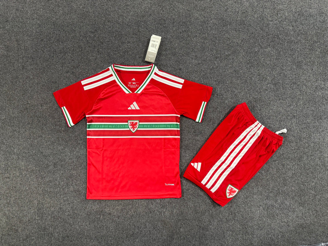 Kit Enfant Pays De Galles Domicile 2025-2026