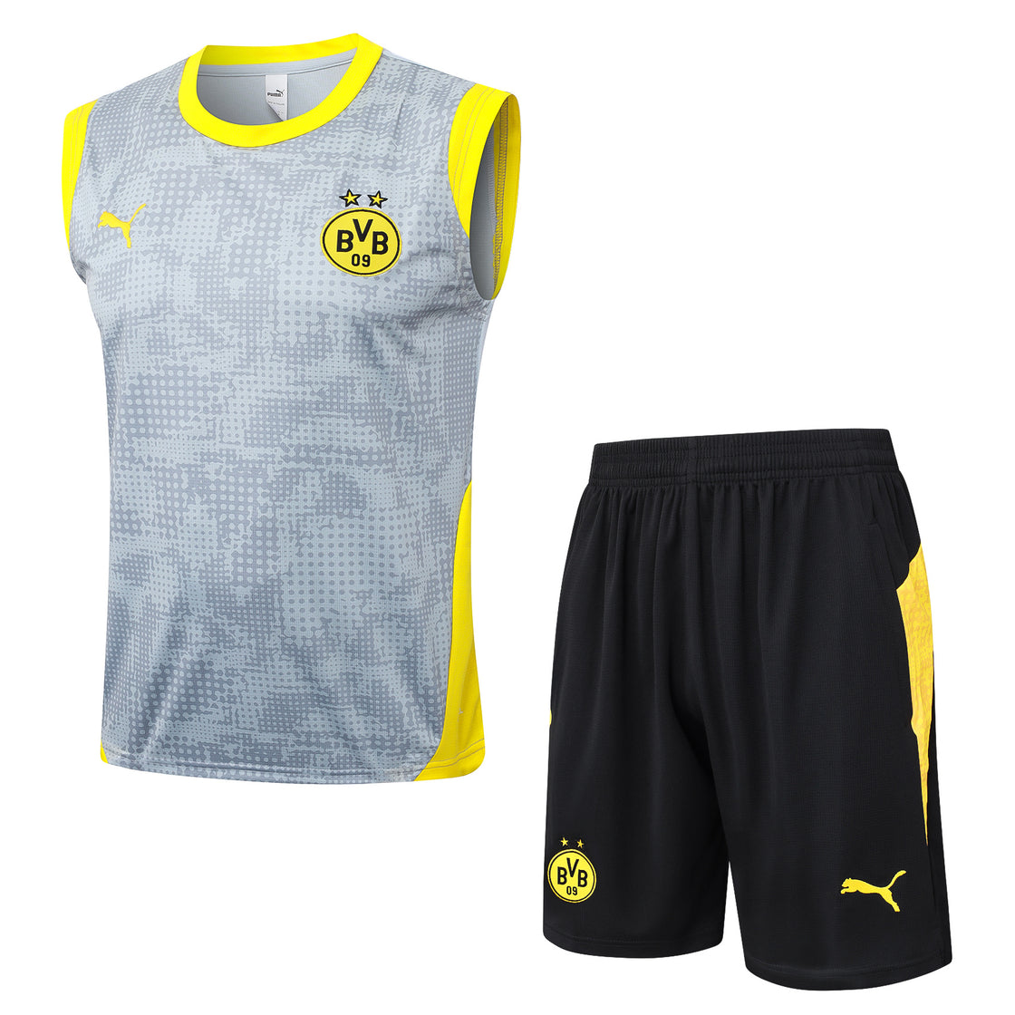 Kit Training Borussia Dortmund Sans Manches 2025-2026