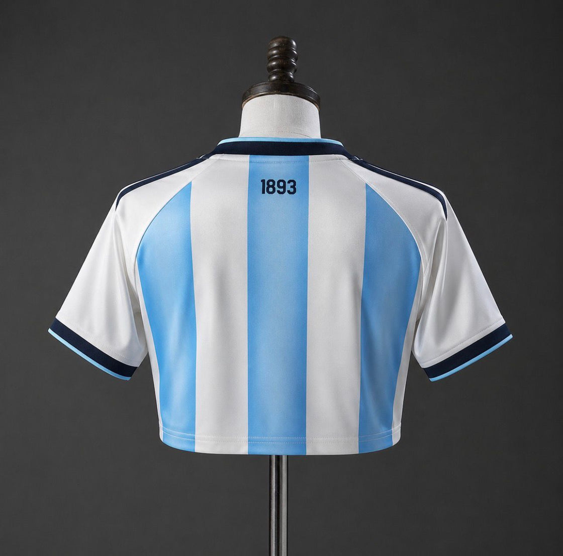 Maillot Argentine Crop Top 2025-2026