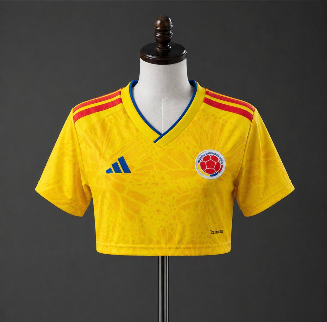 Maillot Colombie Crop Top 2025-2026