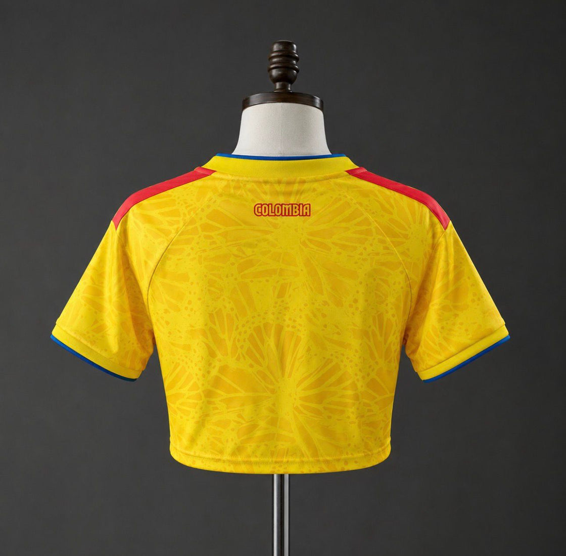 Maillot Colombie Crop Top 2025-2026
