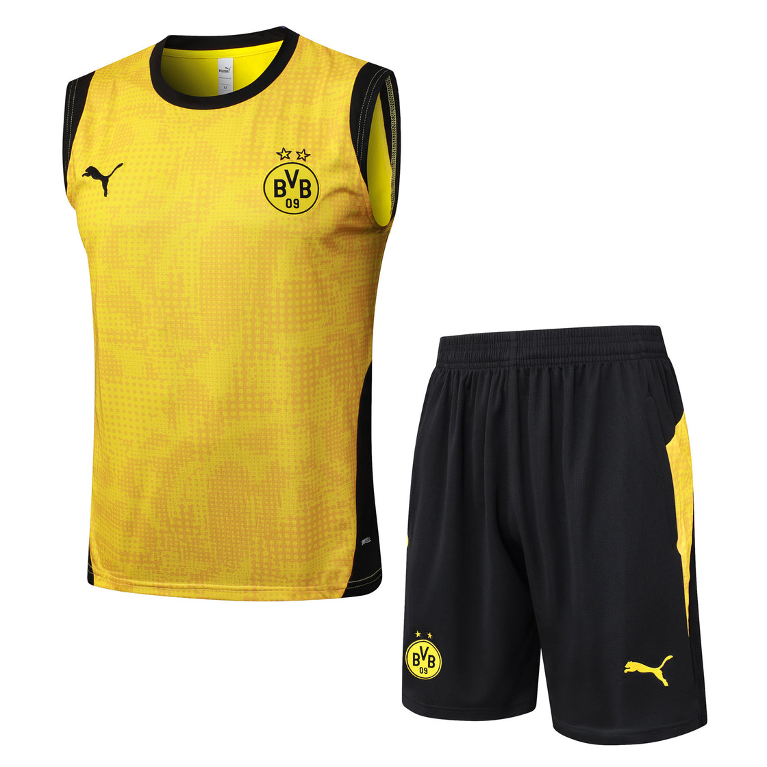 Kit Training Borussia Dortmund Sans Manches 2025-2026