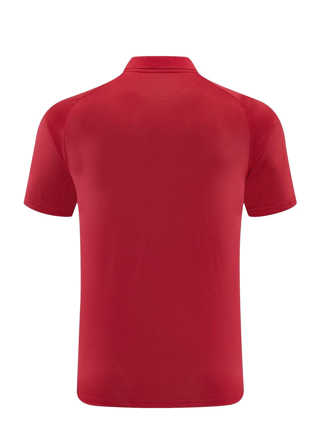 Polo AD 34