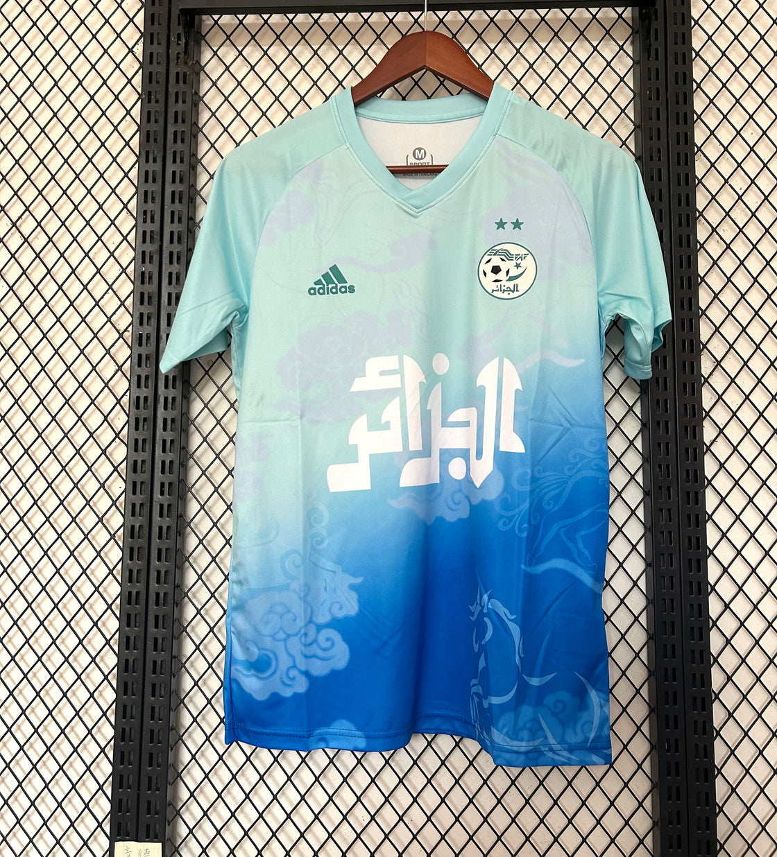 Maillot Algérie Édition Spéciale Vert Clair 2025-2026