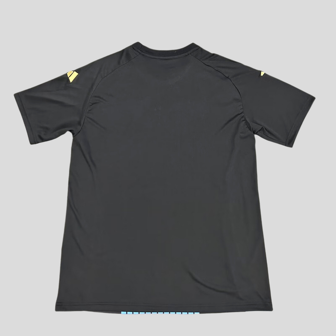 Maillot Allemagne Avant Match 2024-2025