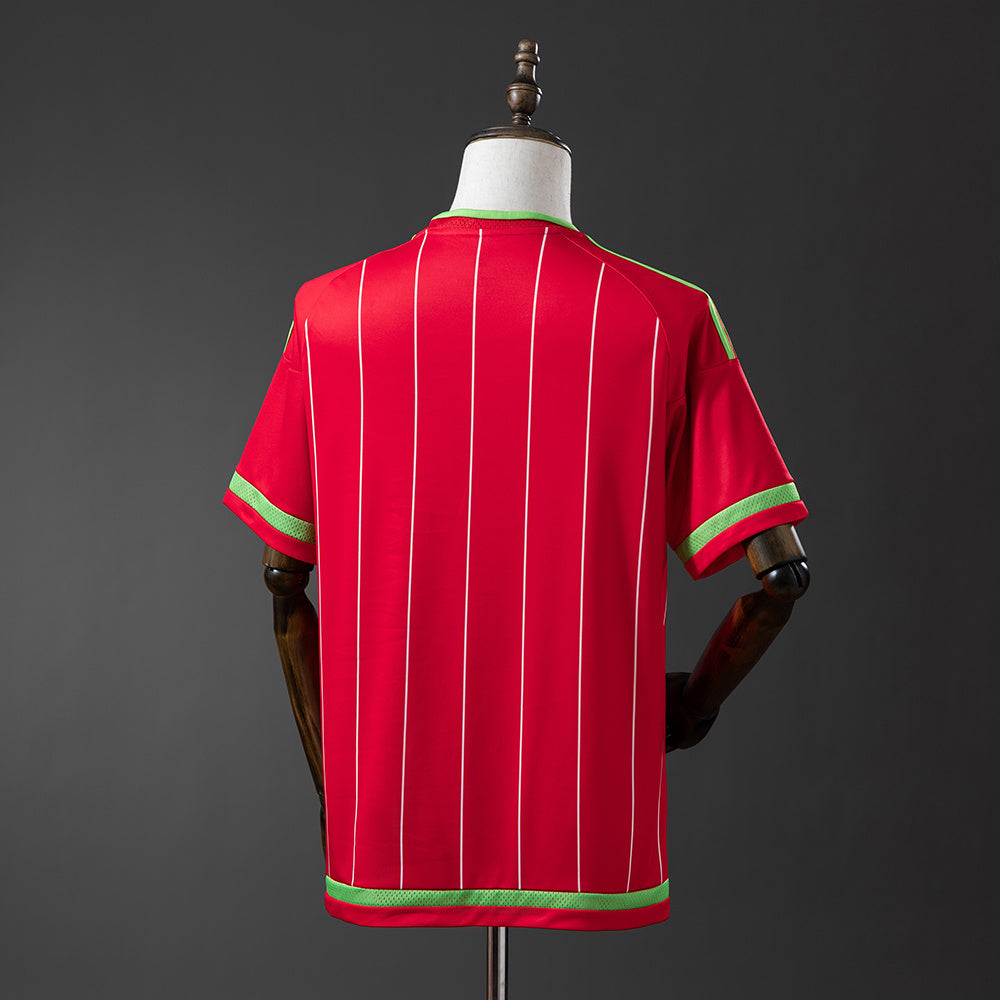 Maillot Rétro Pays De Galles Domicile 2015-2016